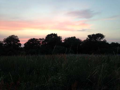 Lanker Straße, Basdorf, Wandlitz, Barnim, Brandenburg, 16348, Germany