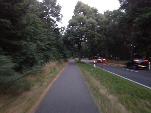 Prenzlauer Straße, Basdorf, Wandlitz, Barnim, Brandenburg, 16348, Germany