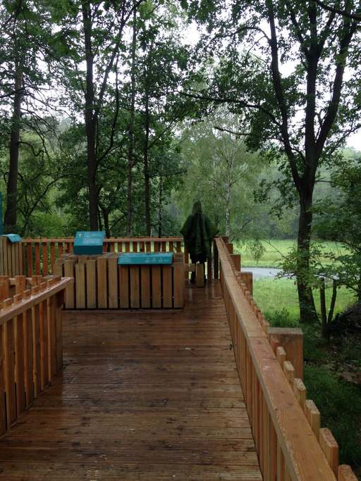 Barssee und Pechsee, Schwarzer Weg, Grunewald, Charlottenburg-Wilmersdorf, Berlin, Germany