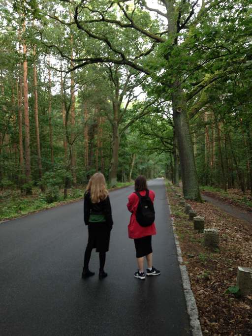 Havelchaussee, Grunewald, Charlottenburg-Wilmersdorf, Berlin, 14193, Germany