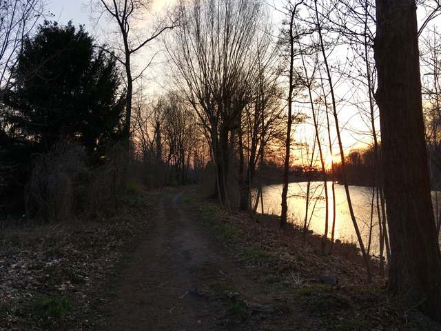 14, Ruhwaldweg, Westend, Charlottenburg-Wilmersdorf, Berlin, 14050, Germany 14, Ruhwaldweg, Westend, Charlottenburg-Wilmersdorf, Berlin, 14050, Germany