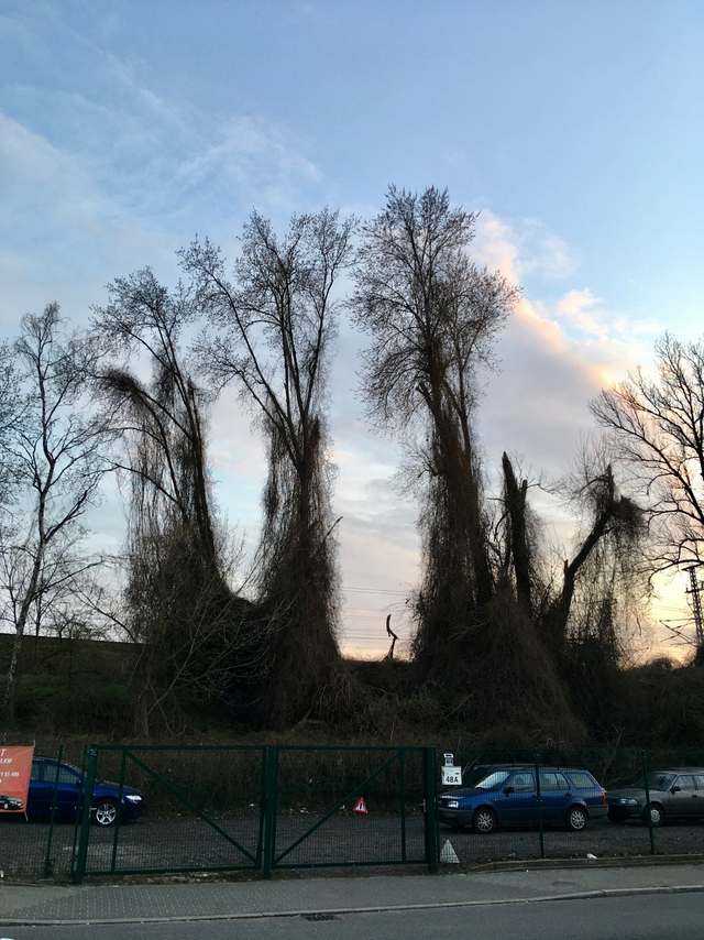 13, Freiheit, Spandau, Berlin, 13597, Germany 13, Freiheit, Spandau, Berlin, 13597, Germany