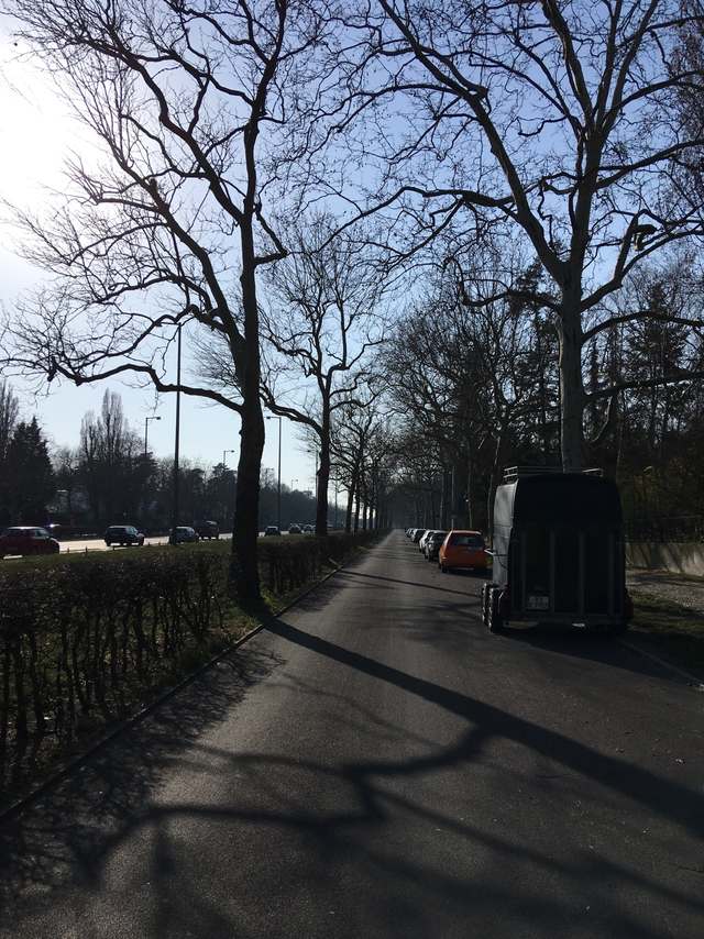 86/Zepter und Krone GmbH, 86, Heerstraße, Westend, Charlottenburg-Wilmersdorf, Berlin, 14055, Germany 86/Zepter und Krone GmbH, 86, Heerstraße, Westend, Charlottenburg-Wilmersdorf, Berlin, 14055, Germany