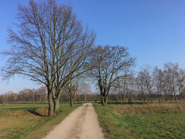 104, Wilhelmstraße, Wilhelmstadt, Spandau, Berlin, 13593, Germany 104, Wilhelmstraße, Wilhelmstadt, Spandau, Berlin, 13593, Germany