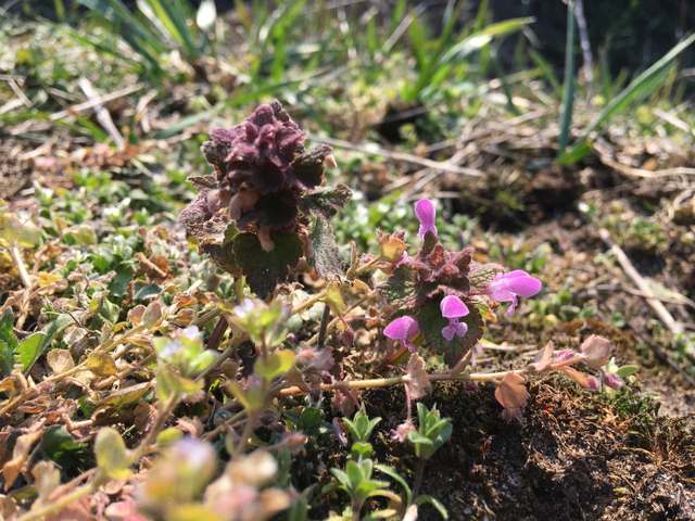 Straße 270, Wilhelmstadt, Spandau, Berlin, 13593, Germany Straße 270, Wilhelmstadt, Spandau, Berlin, 13593, Germany