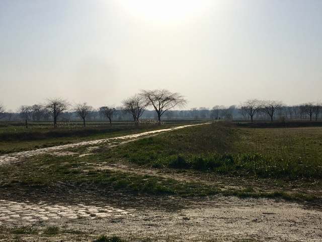 Straße 270, Wilhelmstadt, Spandau, Berlin, 13593, Germany Straße 270, Wilhelmstadt, Spandau, Berlin, 13593, Germany