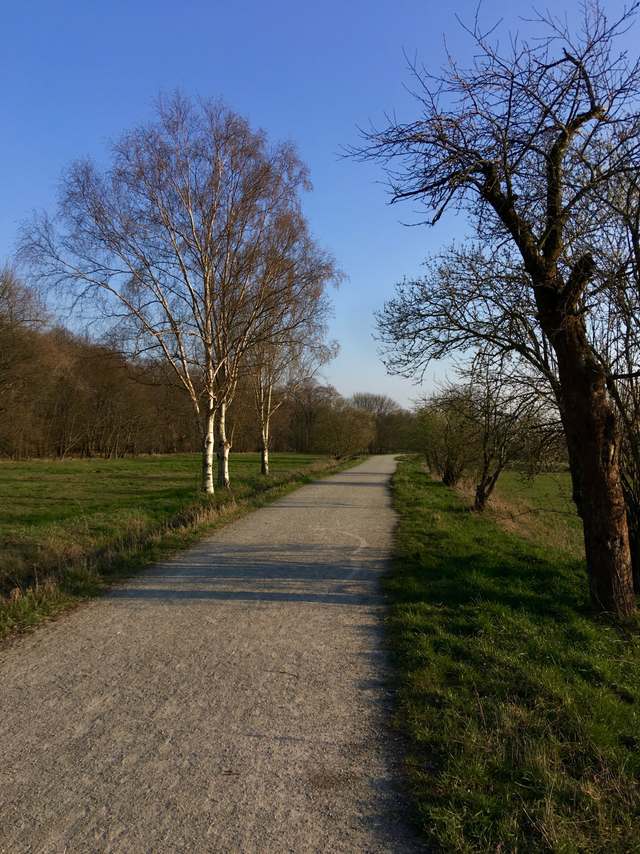 113b, Scharfe Lanke, Marina Lanke Werft, Wilhelmstadt, Spandau, Berlin, 13595, Germany 113b, Scharfe Lanke, Marina Lanke Werft, Wilhelmstadt, Spandau, Berlin, 13595, Germany