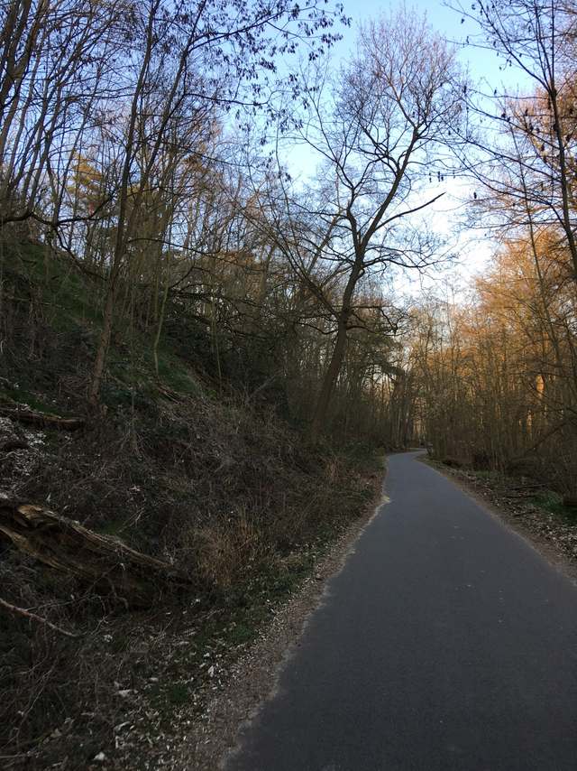 Kladower Damm, Kladow, Spandau, Berlin, 14089, Germany Kladower Damm, Kladow, Spandau, Berlin, 14089, Germany