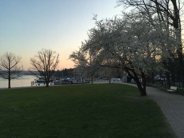 39, Imchenallee, Kladow, Spandau, Berlin, 14089, Germany 39, Imchenallee, Kladow, Spandau, Berlin, 14089, Germany