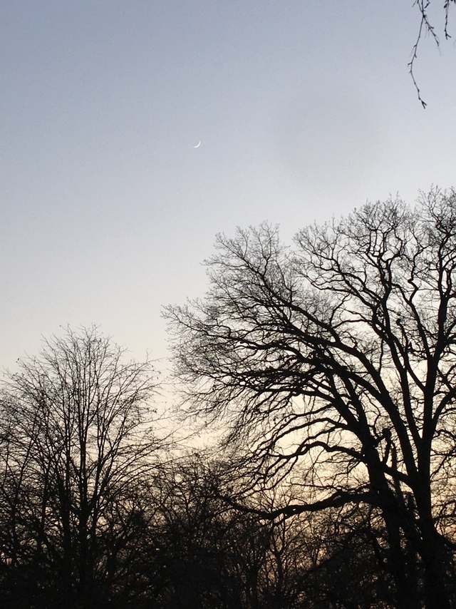 Fährstraße, Sacrow, Potsdam Nord, Potsdam, Brandenburg, 14469, Germany Fährstraße, Sacrow, Potsdam Nord, Potsdam, Brandenburg, 14469, Germany