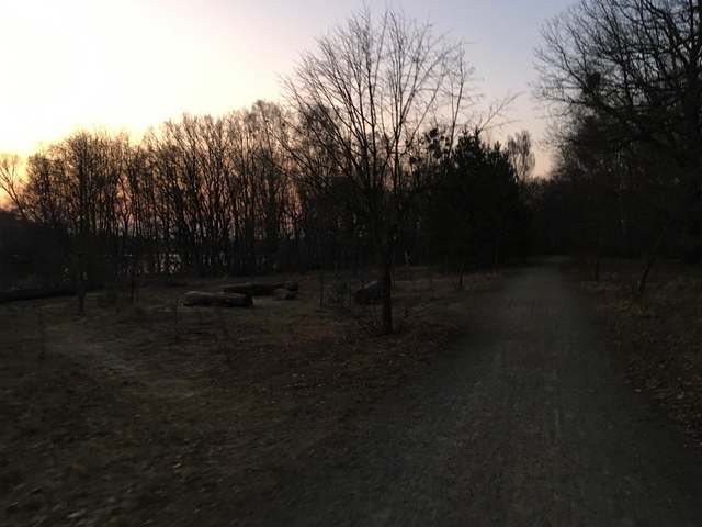 Wachturm, Bertinistraße, Nauener Vorstadt, Nördliche Vorstädte, Potsdam, Brandenburg, 14469, Germany Wachturm, Bertinistraße, Nauener Vorstadt, Nördliche Vorstädte, Potsdam, Brandenburg, 14469, Germany