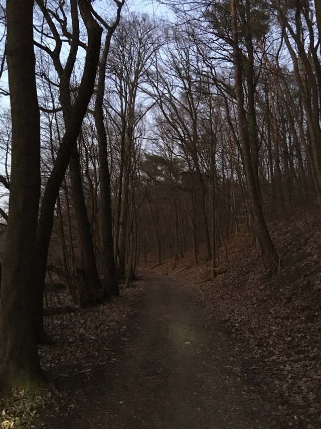 Römerschanze, Straße nach Sacrow, Sacrow, Potsdam Nord, Potsdam, Brandenburg, 14469, Germany Römerschanze, Straße nach Sacrow, Sacrow, Potsdam Nord, Potsdam, Brandenburg, 14469, Germany