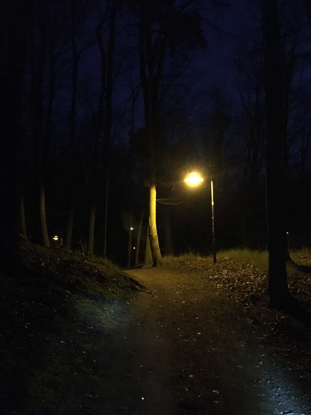 Am Wiesenrand, Neu Fahrland, Krampnitz, Potsdam, Brandenburg, 14476, Germany Am Wiesenrand, Neu Fahrland, Krampnitz, Potsdam, Brandenburg, 14476, Germany